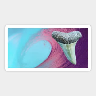 Pink Wave Shark Tooth Fossil  Surf Print Sticker